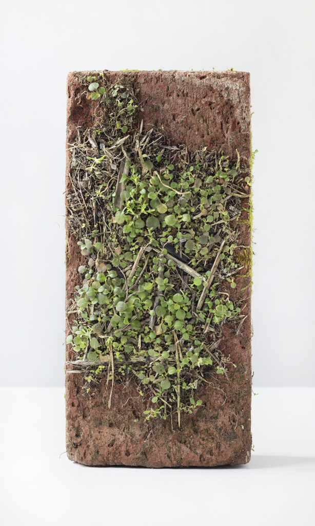 Werkstück aus der Schau "Geformte Erde" im Wiener Ziegel- und Baukeramikmuseum © Chiara Cordeschi